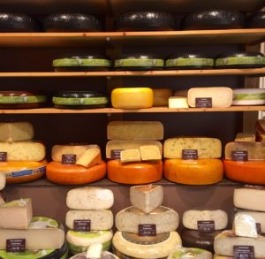 Hague tasting cheese
